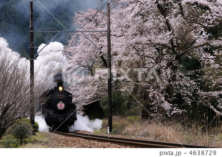 桜と蒸気機関車 4638729