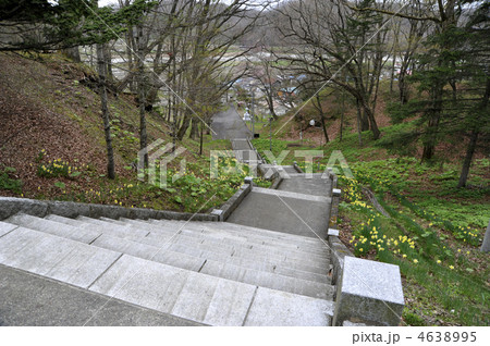 北海道　平取　義経神社　参道石段を上から見下ろす 4638995