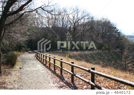 冬の散歩道 冬の散歩道 4640172