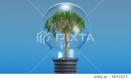 Tree in an electric lamp 4642823