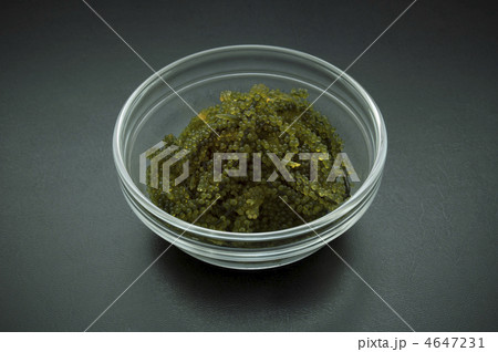 海ぶどう 4647231