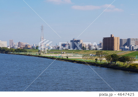 荒川河川敷 4647425