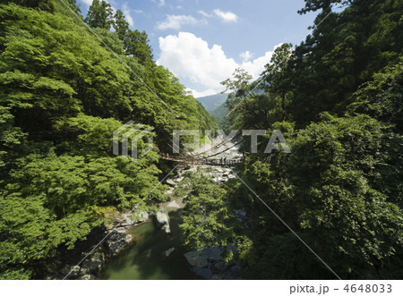 祖谷のかずら橋 4648033
