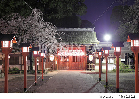 平野神社 春の夜 平野神社 春の夜 4651312