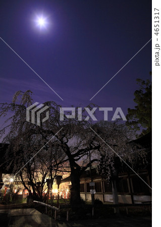 平野神社　春の夜 4651317