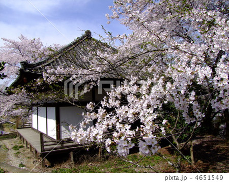 埼玉県児玉の百体観音成身院と桜 埼玉県児玉の百体観音成身院と桜 4651549