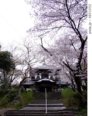 埼玉県児玉の百体観音成身院と桜 埼玉県児玉の百体観音成身院と桜 4651552