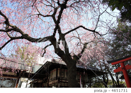 春の水火天満宮　 4651731