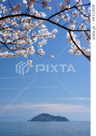 奥琵琶湖 4651909