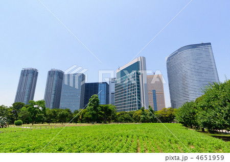 東京　浜離宮恩賜庭園 4651959