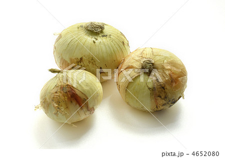 新玉ネギ 4652080