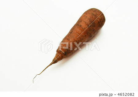 泥付きニンジン 泥付きニンジン 4652082