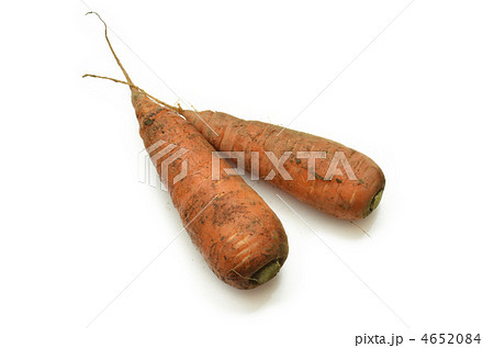 泥付きニンジン 4652084