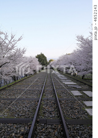 春のインクライン 4652143