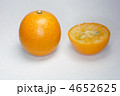 キンカン 4652625
