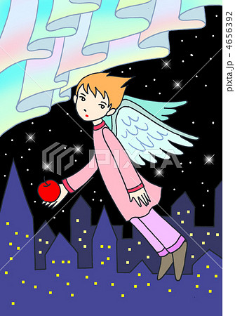 オーロラの夜 4656392