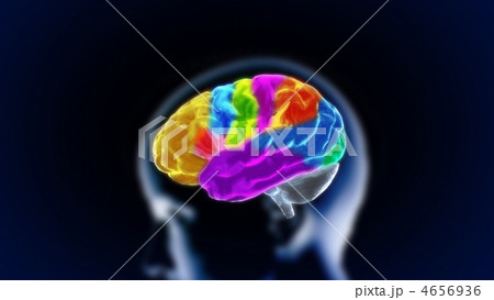 the crystal brain part11 4656936