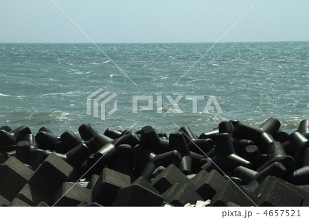 久能海岸の風景 4657521