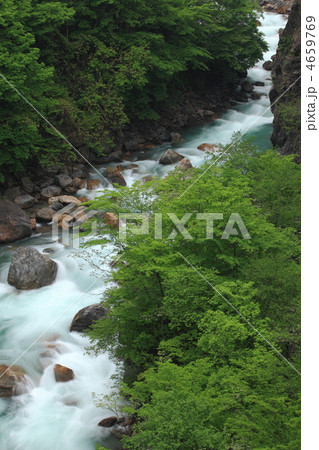 新緑の梓川渓谷 4659769