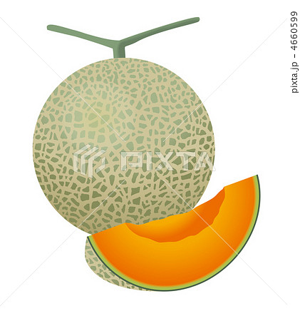 メロン 4660599