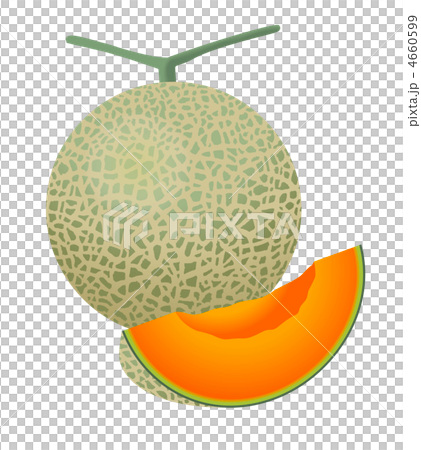 メロン 4660599
