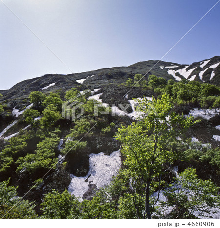 湯殿山の残雪 湯殿山の残雪 4660906