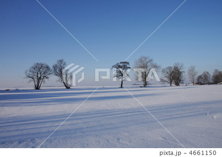 winter country 4661150