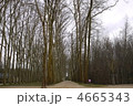 4665343