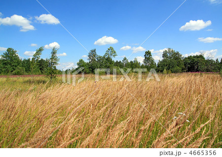 4665356