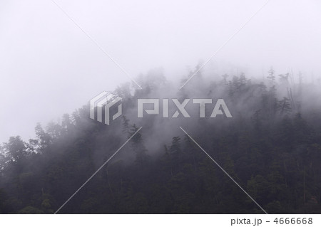 煙雨にけむる出雲大社背後の「八雲山」を大社東隣の古代出雲歴史博物館駐車場より撮影 煙雨にけむる出雲大社背後の「八雲山」を大社東隣の古代出雲歴史博物館駐車場より撮影 4666668