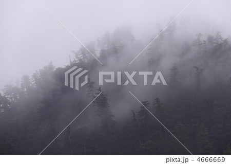 煙雨にけむる出雲大社背後の「八雲山」を大社東隣の古代出雲歴史博物館駐車場より撮影 4666669