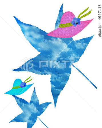 プラタナスの葉と麦わら帽子 4667118