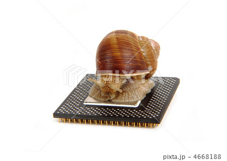 snail isolated on the computer heart 4668188