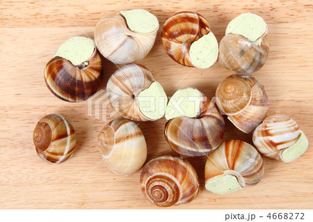 snails as nice french gourmet food background 4668272