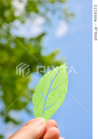 紙製の葉 4669153