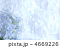 4669226