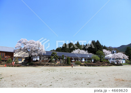 三代校舎ふれあいの里、学校、桜 4669620