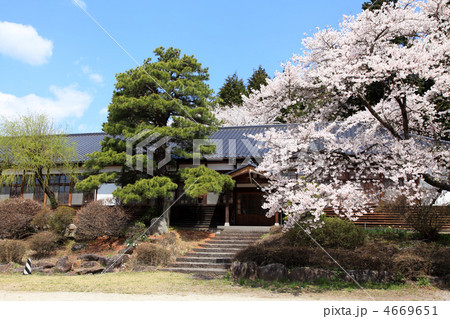 三代校舎・大正校舎、学校、桜 4669651