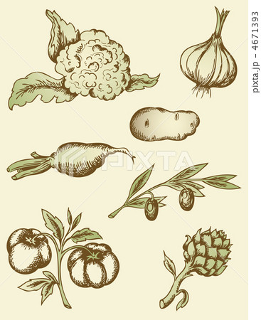 vintage vegetables 4671393