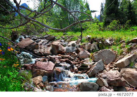 river landscape river landscape 4672077