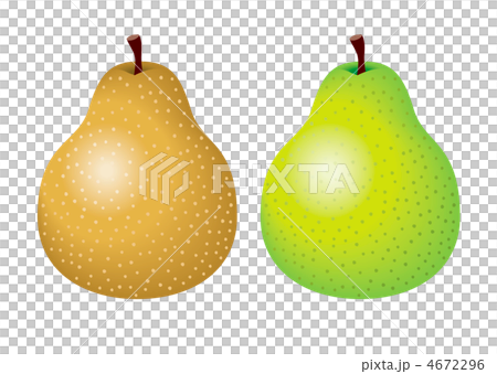 ラフランス 4672296