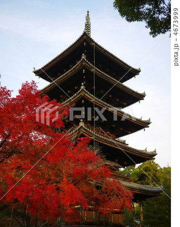 京都 世界遺産 御室仁和寺 五重塔 秋 京都 世界遺産 御室仁和寺 五重塔 秋 4673999