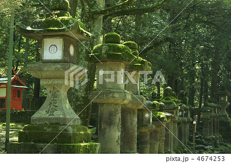 並ぶ石灯籠（春日大社／奈良県奈良市） 4674253