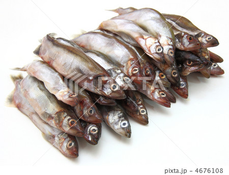 Fresh fish sprats Fresh fish sprats 4676108