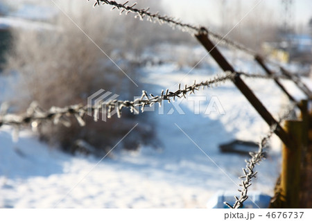 Metal barbed wire 4676737