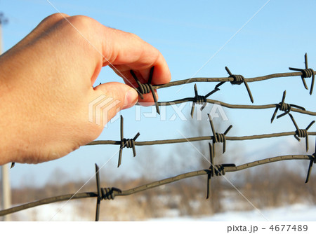 Hand of prison and sky background Hand of prison and sky background 4677489