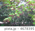 4678395