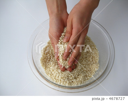 塩麹、醤油麹を作る 塩麹、醤油麹を作る 4678727