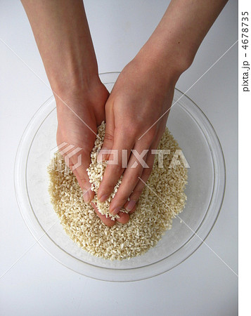 塩麹、醤油麹を作る 4678735