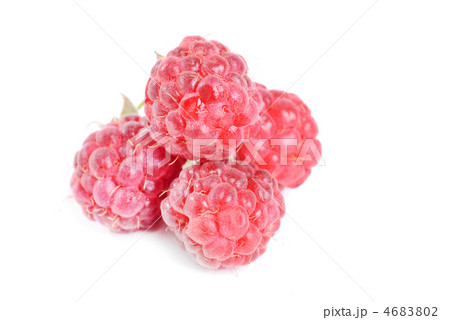 Stock Photo: Stock Photo: 4683802